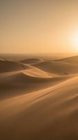 Golden sand dunes landscape at sunset with warm orange light creating dramatic shadows and curves across desert terrain for travel and nature backgrounds.