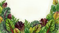 Colorful leafy greens and vegetables with vibrant red, yellow, and green foliage arranged in a border design. Suitable for culinary, nutrition, and organic food marketing materials.