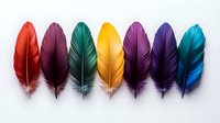 Colorful bird feathers arranged in rainbow order on white background, featuring red, burgundy, green, yellow, purple, navy and turquoise plumes isolated for creative design use.