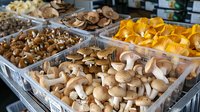 Fresh assorted edible mushrooms in plastic containers at market stall, including golden chanterelles and brown varieties, arranged for retail sale.