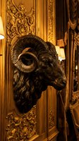 Ornate ram head sculpture mounted on gilded decorative wall panel with baroque carved details and warm lighting for luxury interior design projects.
