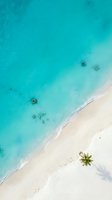 Aerial view of pristine tropical beach with turquoise water, white sand and palm tree. Paradise coastline from above for travel and vacation concepts.