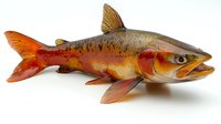 Realistic golden trout fish sculpture with detailed scales and fins on white background, isolated decorative art piece for collectors and nature enthusiasts.