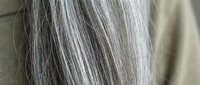 Close-up of natural gray and silver hair strands showing aging process and hair texture. Mature woman with salt and pepper hair color transition.