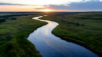 Winding river curves through lush green wetland meadow at golden sunset, reflecting warm light on water surface. Scenic landscape for nature, travel, and environmental projects.