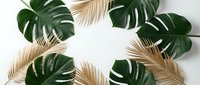 Tropical leaves frame with monstera and golden palm fronds on white background for natural design projects and botanical decorations.