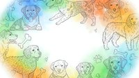 Colorful rainbow gradient frame with hand-drawn dog breed sketches including golden retriever, labrador, and puppy outlines on white background for pet design.