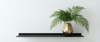 Fern plant in gold geometric vase on black floating shelf against white wall, modern home decor and interior design element for residential spaces.