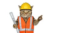 Tabby cat wearing yellow hard hat, orange safety vest, and work gloves, holding blueprint and pointing, isolated on white background for construction and labor design projects.