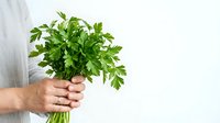 Fresh parsley bunch held in hand against white background, isolated herb ready for culinary use, cooking, and food styling projects.