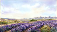 Lavender field landscape with rolling hills and mountains in the distance, featuring rows of purple flowering plants under a soft, cloudy sky. Suitable for travel, agriculture, and nature-themed designs.
