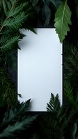 White blank paper frame surrounded by dark green forest leaves and ferns on black background, creating natural border for copy space.