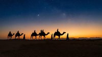 Camel caravan silhouettes crossing desert dunes at sunset with starry sky. Traditional nomadic travel and adventure tourism concept for travel agencies.