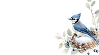 Blue jay bird perched on wicker nest with berries and eucalyptus leaves on white background isolated for nature design projects.