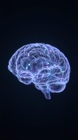 Glowing human brain with neural pathways and electrical activity on dark background for medical, science and neurology concepts.