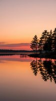 Serene lake at sunset with silhouetted pine trees and wooden dock reflecting in calm water, golden and pink sky creating tranquil nature scenery.