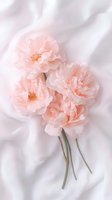 Delicate blush pink peonies arranged on soft white fabric, creating an ethereal romantic mood for wedding invitations and feminine branding.