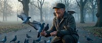 Elderly Caucasian man in winter coat feeding pigeons in misty park during autumn morning, surrounded by flying birds on bench.