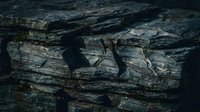 Dark weathered rock surface with natural cracks and geological formations showing layered sedimentary stone texture for backgrounds and design projects.