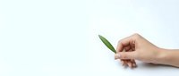 Hand holding fresh green leaf on clean white background symbolizing natural eco-friendly lifestyle and environmental awareness for sustainable living.