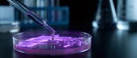 Laboratory pipette dropping purple liquid into petri dish for scientific research and chemical analysis in modern lab setting.