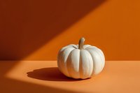 White decorative pumpkin on orange background with dramatic shadow, minimal autumn composition for seasonal marketing and holiday decor.