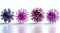 Microscopic view of virus cells in blue and purple colors with spiky surface proteins arranged in row casting reflective shadows on white surface.
