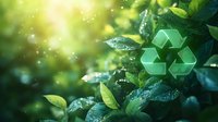 Green recycling symbol on fresh wet leaves with morning dew drops and sunlight bokeh effect in nature background, environmental conservation concept.