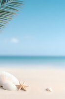 Tropical beach scene with white seashells and starfish on sandy shore, palm frond in corner against turquoise ocean and blue sky background, summer vacation concept.
