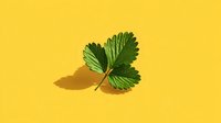 Single fresh green strawberry leaf with serrated edges casting shadow on bright yellow background for natural organic design projects.