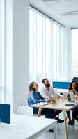 Diverse business team collaborating in modern office meeting room with large windows and natural light for corporate presentations and teamwork.