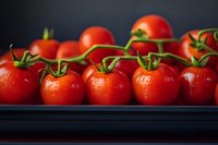Fresh red cherry tomatoes on vine with water drops against dark background, macro food photography for restaurant menu and cooking blogs.