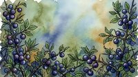 Watercolor illustration of blueberry branches with ripe berries and green foliage on soft, muted background. Suitable for food packaging, culinary designs, and botanical artwork.
