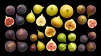 Figs, pears, and grapefruits isolated on transparent background. Ready for clipart, t-shirt design, stickers, print-on-demand, and sublimation projects.
