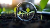 Young green seedling growing from soil viewed through magnifying glass lens with natural bokeh background, symbolizing growth, research and environmental studies.