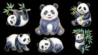 Cute panda characters isolated on transparent background, ready for t-shirt designs, stickers, clipart, sublimation and print-on-demand products.