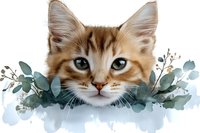 Adorable ginger cat portrait with blue eyes peeking through eucalyptus leaves and watercolor splashes, artistic composition for greeting cards and wall art decoration.