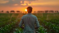 Young man in casual shirt standing in agricultural field during golden sunset, back view silhouette against dramatic orange sky and sun. Rural farming landscape.