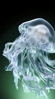 Ethereal jellyfish with translucent tentacles floating gracefully against dark green background, creating mysterious underwater atmosphere with soft glowing effect.