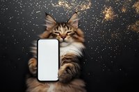 Adorable Maine Coon kitten holding blank smartphone screen on festive golden glitter background for holiday marketing and social media mockup designs.