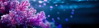 Vibrant purple coral formation with intricate branching structure against deep blue ocean background with floating particles and bokeh lighting effects.