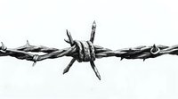 Black and white close up of barbed wire strand against white background, showing sharp metal barbs and twisted steel wire detail for concepts of security and restriction.