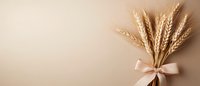 Golden wheat ears tied with pink silk bow on beige background. Minimal agricultural harvest concept with copy space for text or design.