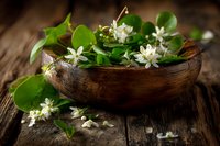 Fresh green herbs and white flowers in rustic wooden bowl on weathered wood surface for natural wellness and aromatherapy applications.