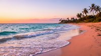 Tropical beach at sunset with pink sand, gentle waves, and palm trees along the shoreline, suitable for travel and vacation marketing materials.