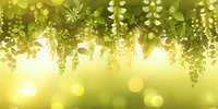 Hanging garden with glowing green foliage and delicate white flowers against sunlit bokeh background creates magical spring atmosphere. Perfect for nature designs.