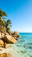 Tropical beach with granite boulders, palm trees, and crystal clear turquoise water under blue sky. Ideal for travel, vacation, and summer holiday marketing materials.