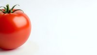 Fresh ripe red tomato isolated on white background with copy space for healthy cooking and organic food concepts.