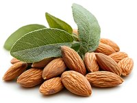 Fresh whole almonds with green sage leaves on white background, macro food photography showing natural texture and detail for healthy eating and nutrition concepts.