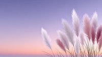 Soft pampas grass plumes against dreamy purple pink gradient sky at sunset creating peaceful natural background for wellness and lifestyle content.